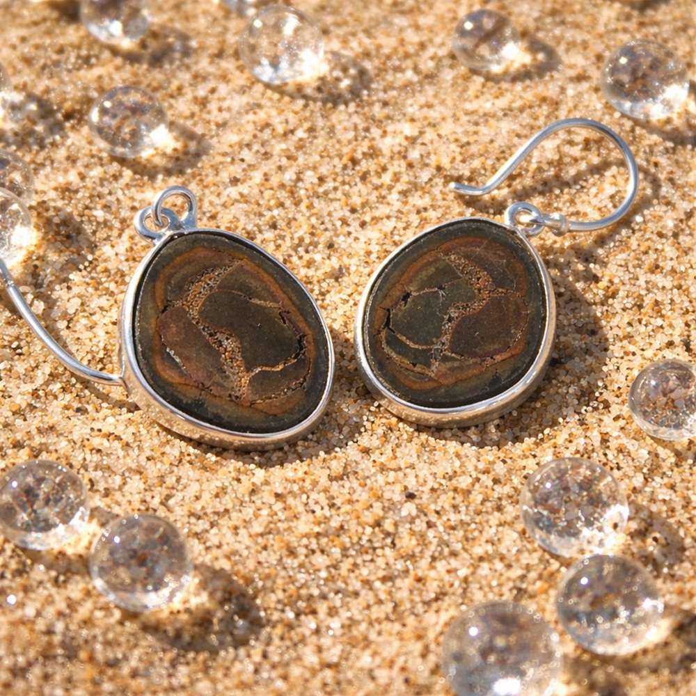 Septarian Earrings